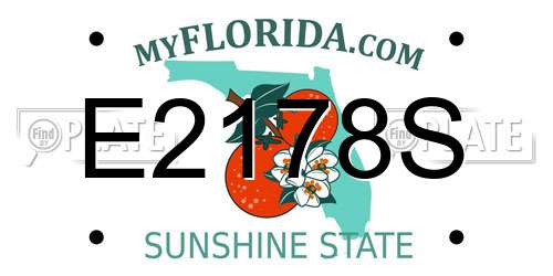 E2178S Florida License Plate