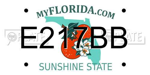 E217BB Florida License Plate