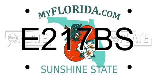 E217BS Florida License Plate