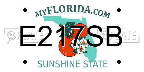 E217SB Florida License Plate