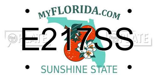 E217SS Florida License Plate
