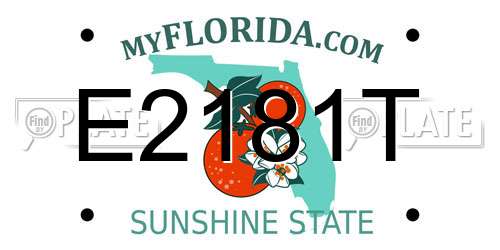 E2181T Florida License Plate