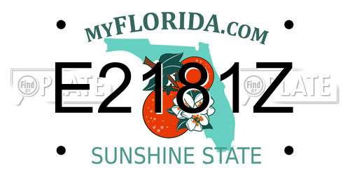 E2181Z Florida License Plate