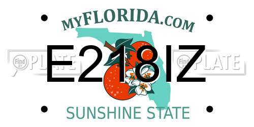 E218IZ Florida License Plate