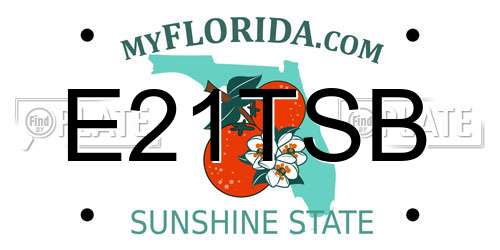 E21TSB Florida License Plate