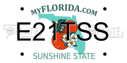 E21TSS Florida License Plate