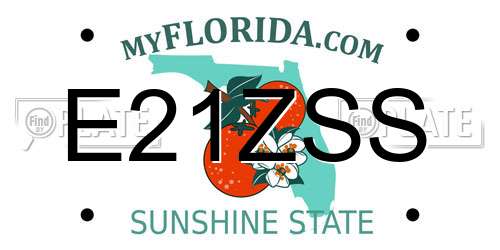 E21ZSS Florida License Plate