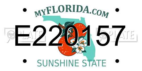 E220157 Florida License Plate
