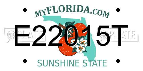 E22015T Florida License Plate
