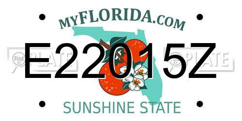 E22015Z Florida License Plate