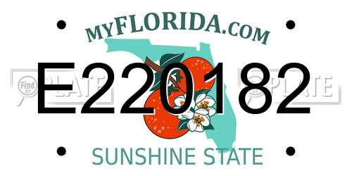 E220182 Florida License Plate