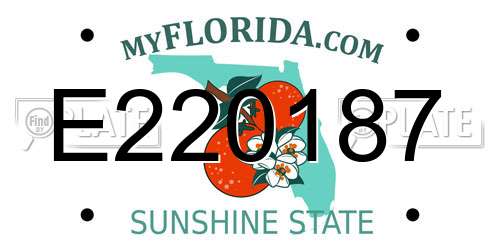 E220187 Florida License Plate
