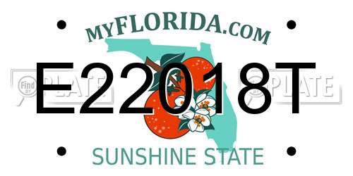 E22018T Florida License Plate