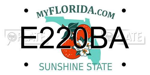 E220BA Florida License Plate