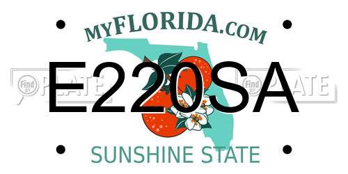 E220SA Florida License Plate