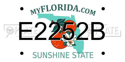 E2252B Florida License Plate