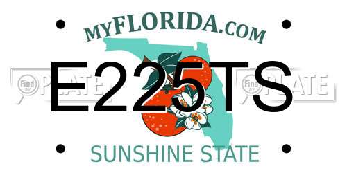 E225TS Florida License Plate