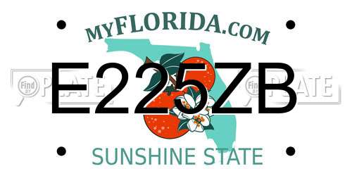 E225ZB Florida License Plate