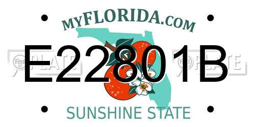 E22801B Florida License Plate