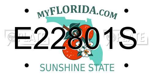 E22801S Florida License Plate