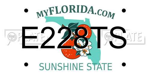 E228TS Florida License Plate