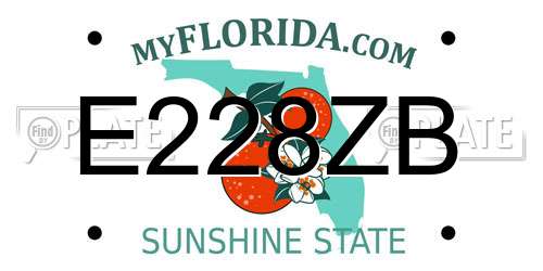 E228ZB Florida License Plate