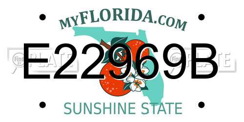 E22969B Florida License Plate