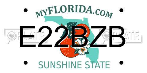 E22BZB Florida License Plate