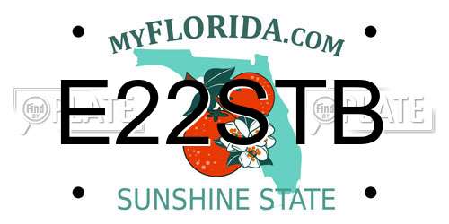 E22STB Florida License Plate