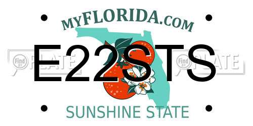 E22STS Florida License Plate