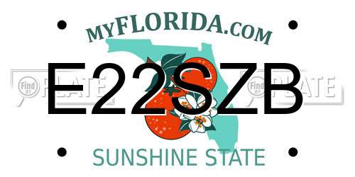 E22SZB Florida License Plate