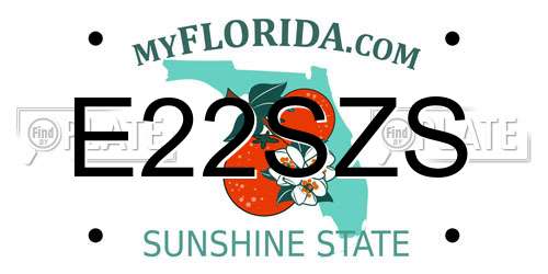 E22SZS Florida License Plate