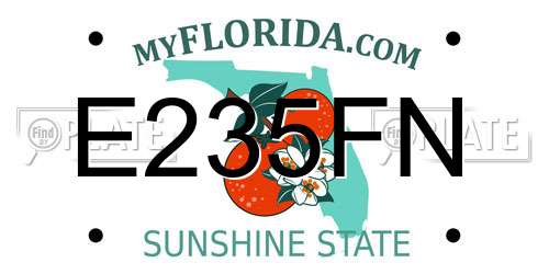 E235FN Florida License Plate