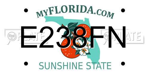 E238FN Florida License Plate