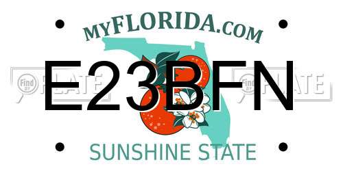 E23BFN Florida License Plate