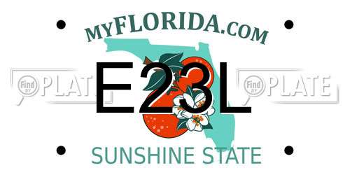 E23L Florida License Plate