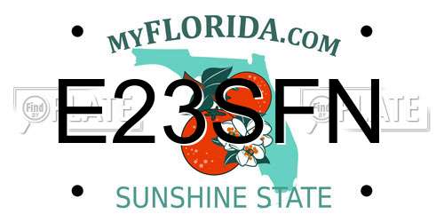 E23SFN Florida License Plate