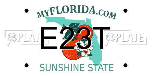 E23T Florida License Plate