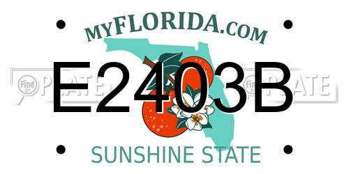 E2403B Florida License Plate