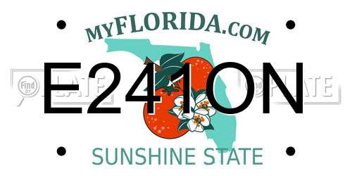 E241ON Florida License Plate