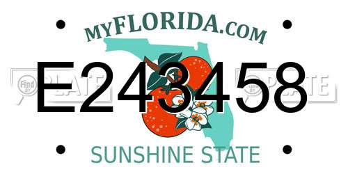 E243458 Florida License Plate