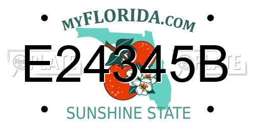 E24345B Florida License Plate