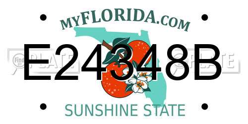E24348B Florida License Plate