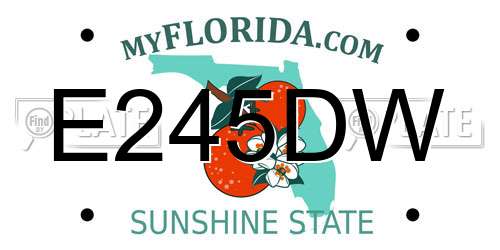 E245DW Florida License Plate
