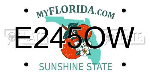 E245OW Florida License Plate