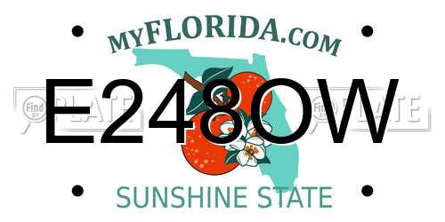 E248OW Florida License Plate