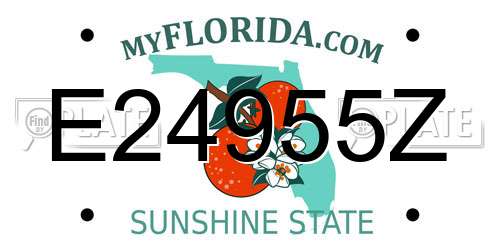 E24955Z Florida License Plate