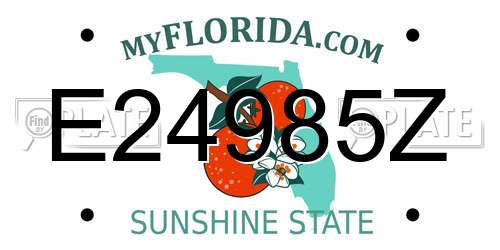 E24985Z Florida License Plate