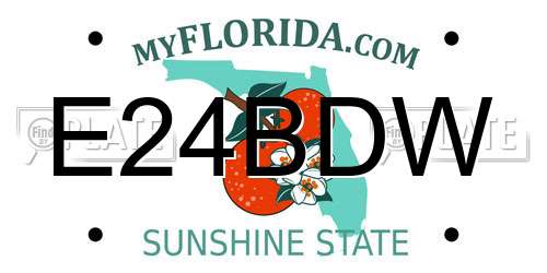 E24BDW Florida License Plate