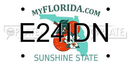 E24IDN Florida License Plate